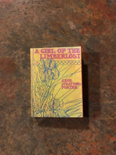 Load image into Gallery viewer, A Girl of the Limberlost doll sized miniature book for 18 inch Dolls 1:3 Scale